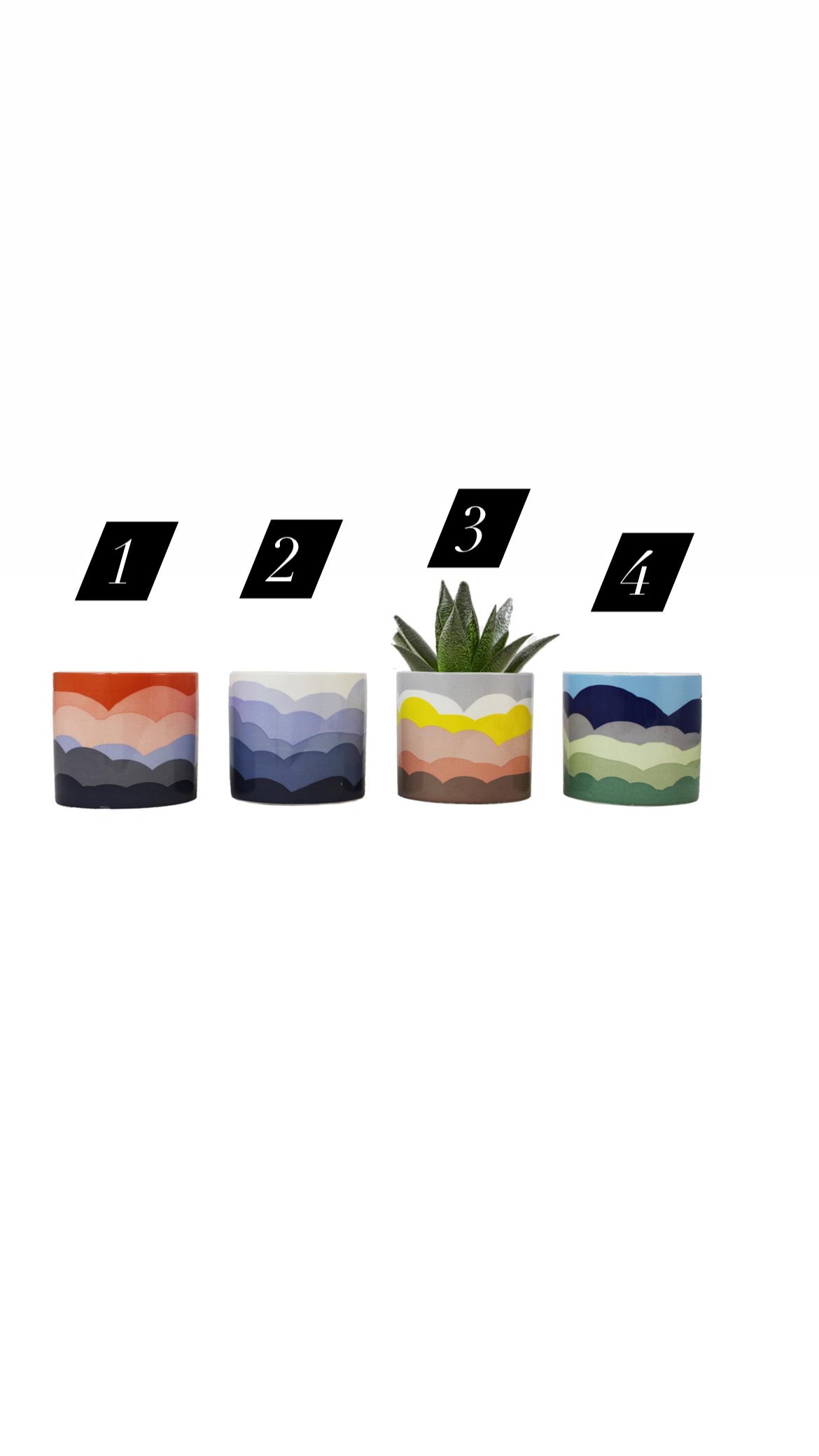Wavy Pots