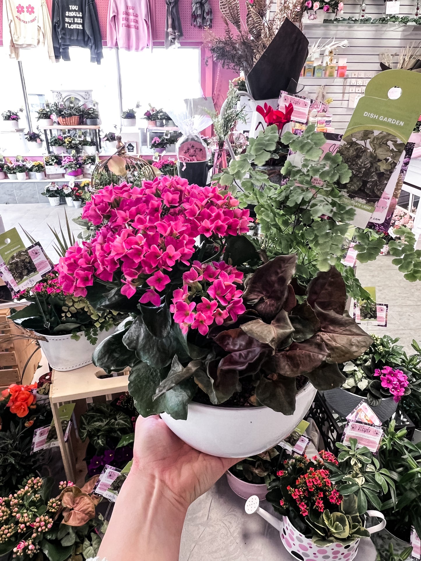 Lana dish garden