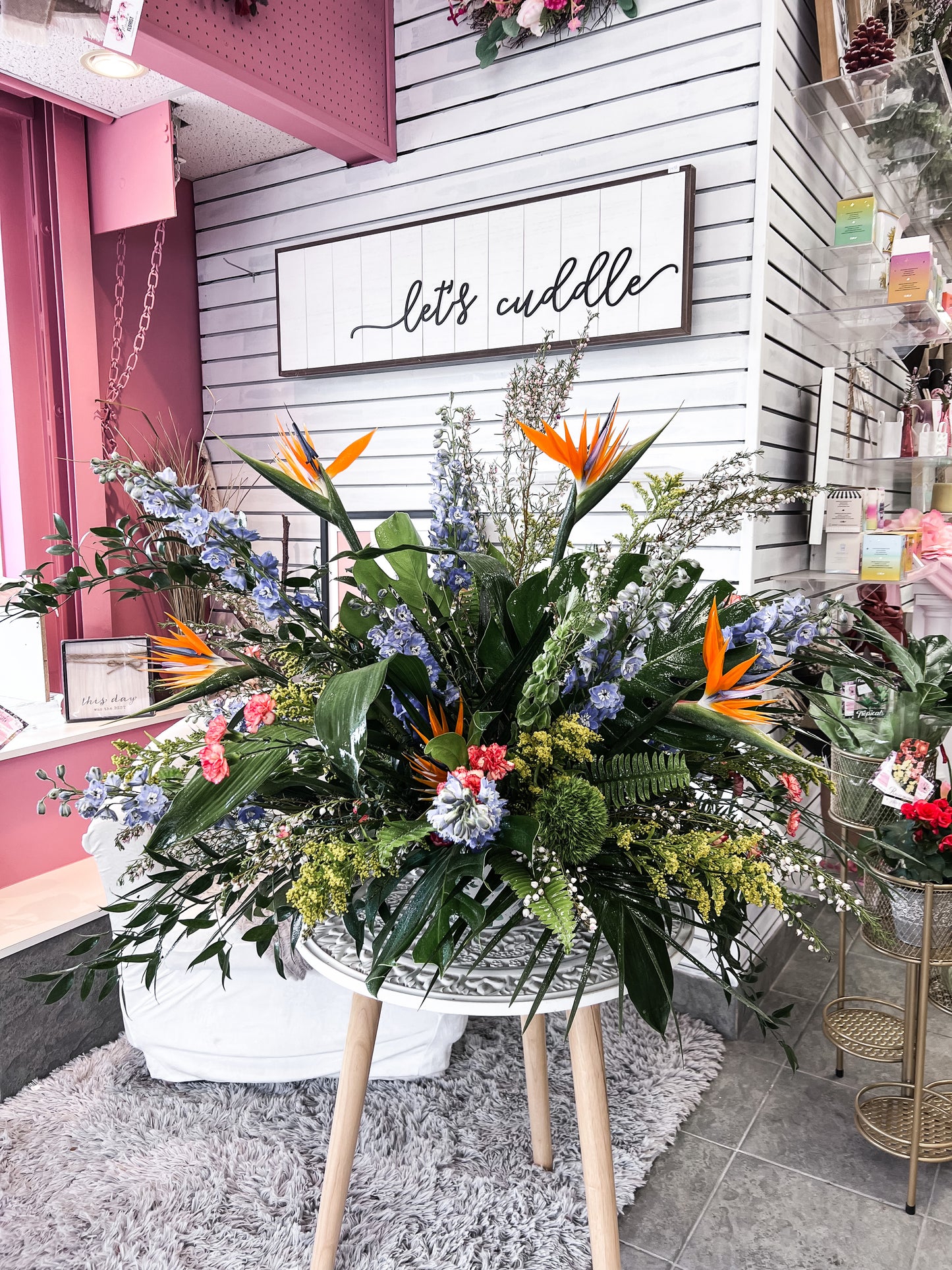 Lost in the tropics Arrangement