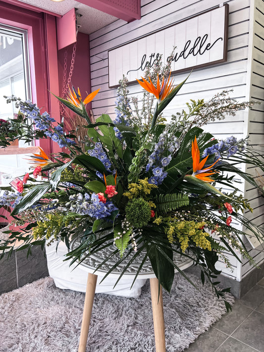 Lost in the tropics Arrangement