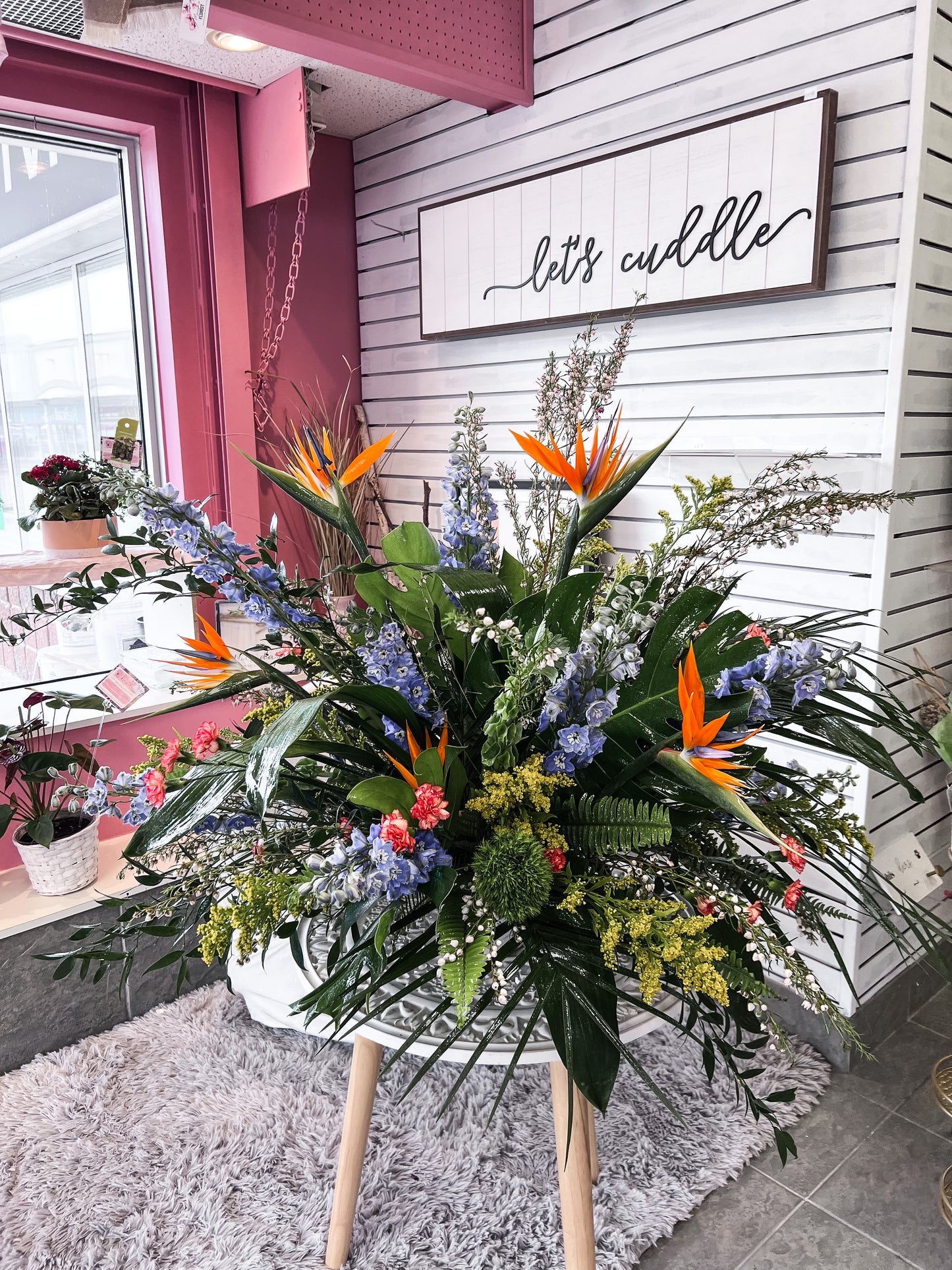 Lost in the tropics Arrangement