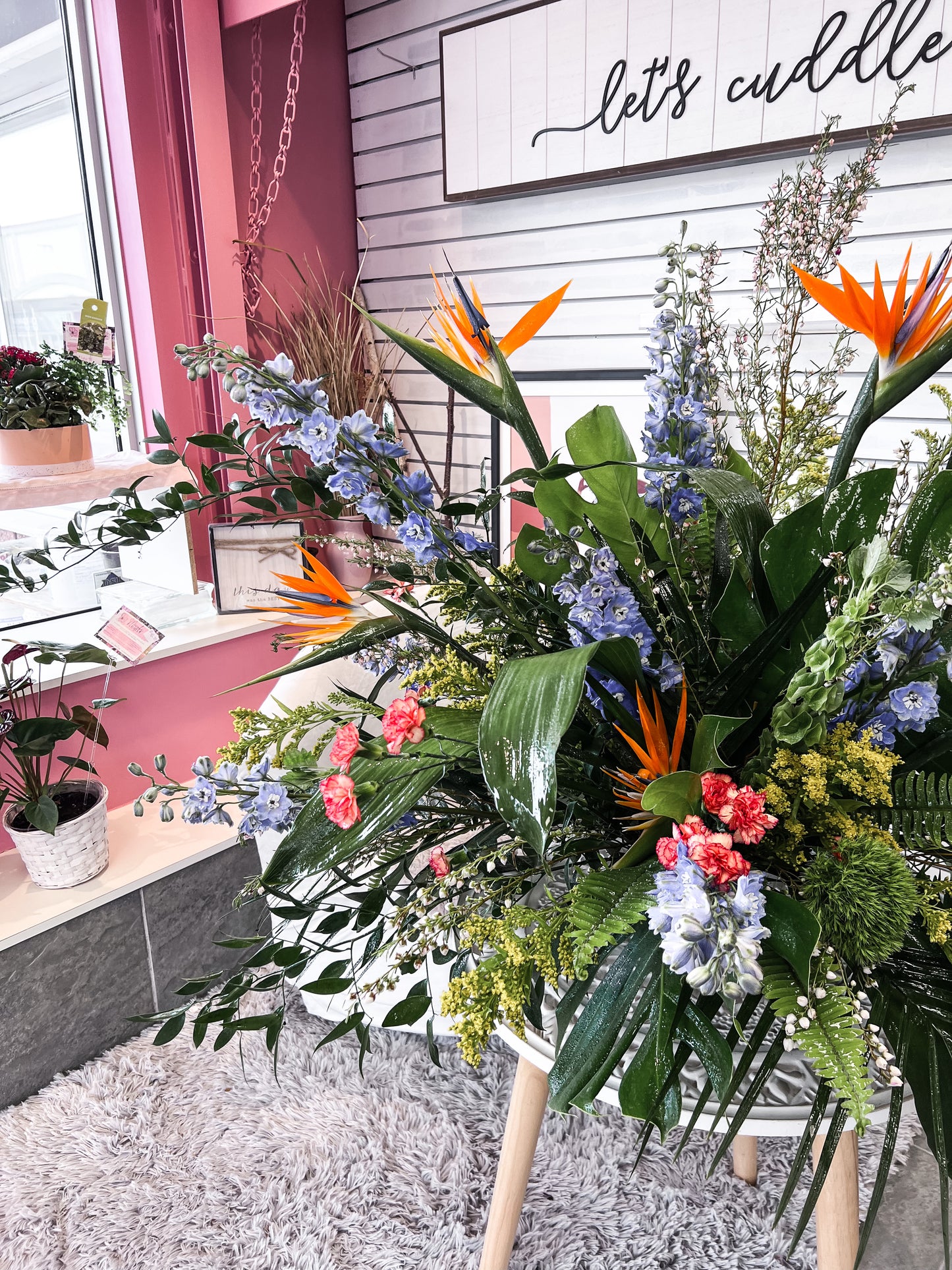 Lost in the tropics Arrangement