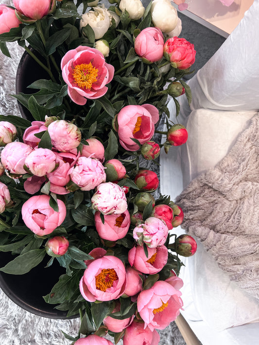 Peonies