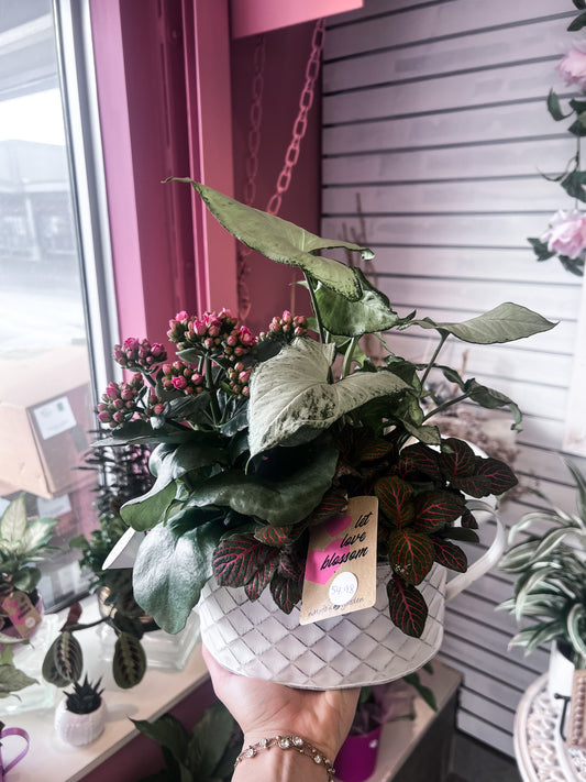 Valentines Hearts Watering Can Planter