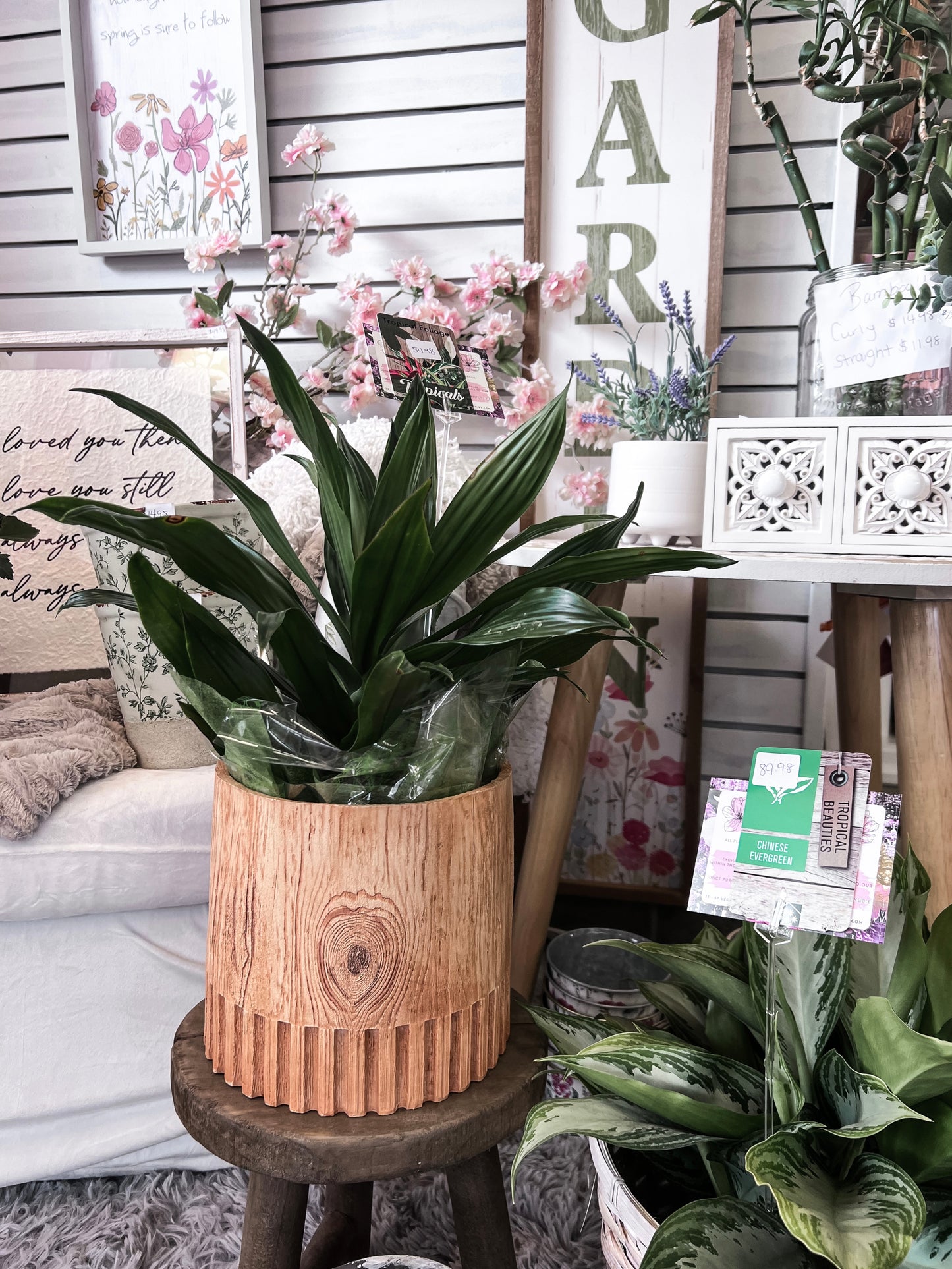Tropical Foliage Plant Wood Pot
