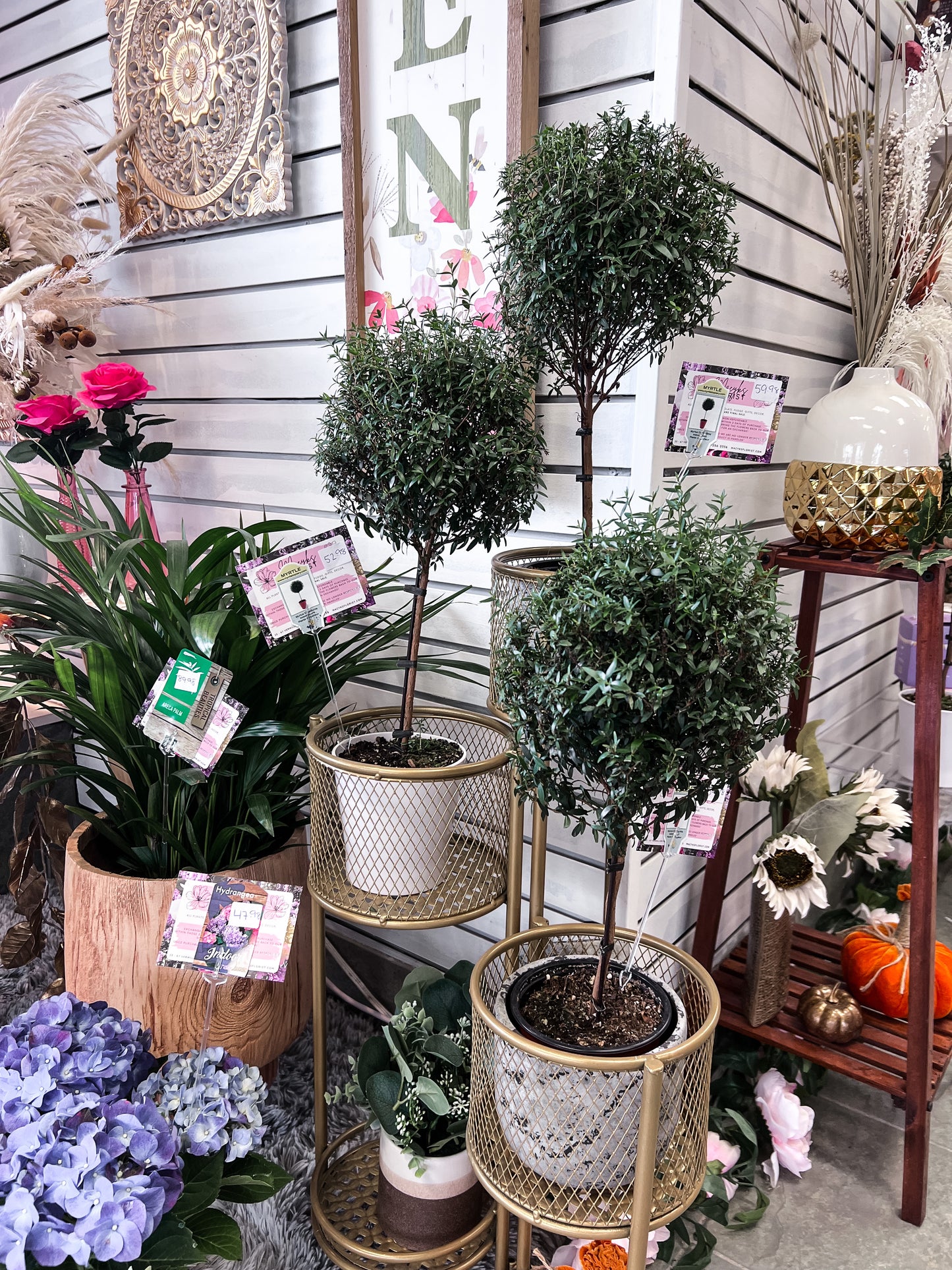 Myrtle Trees
