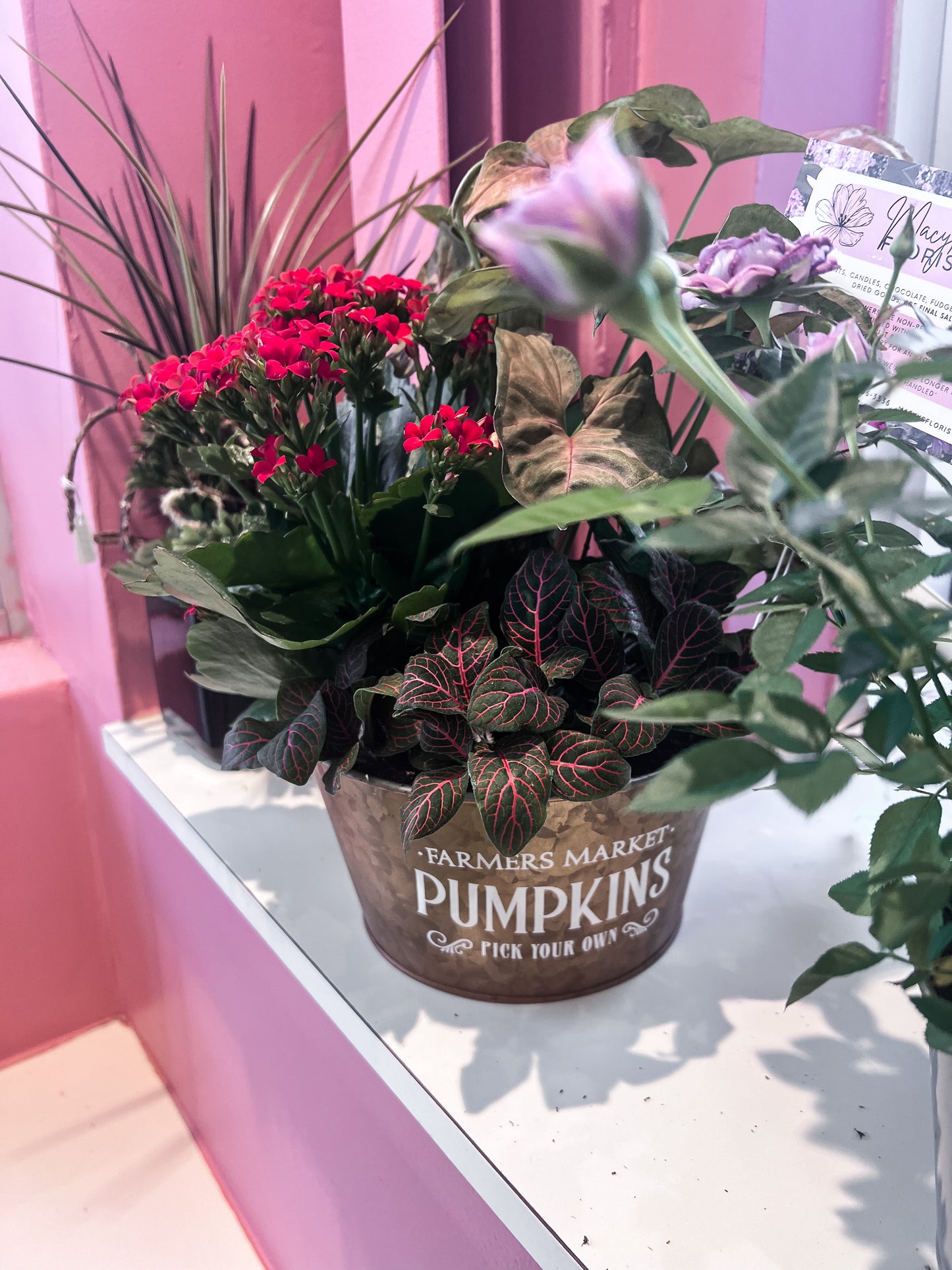 Pumpkins Dish Garden