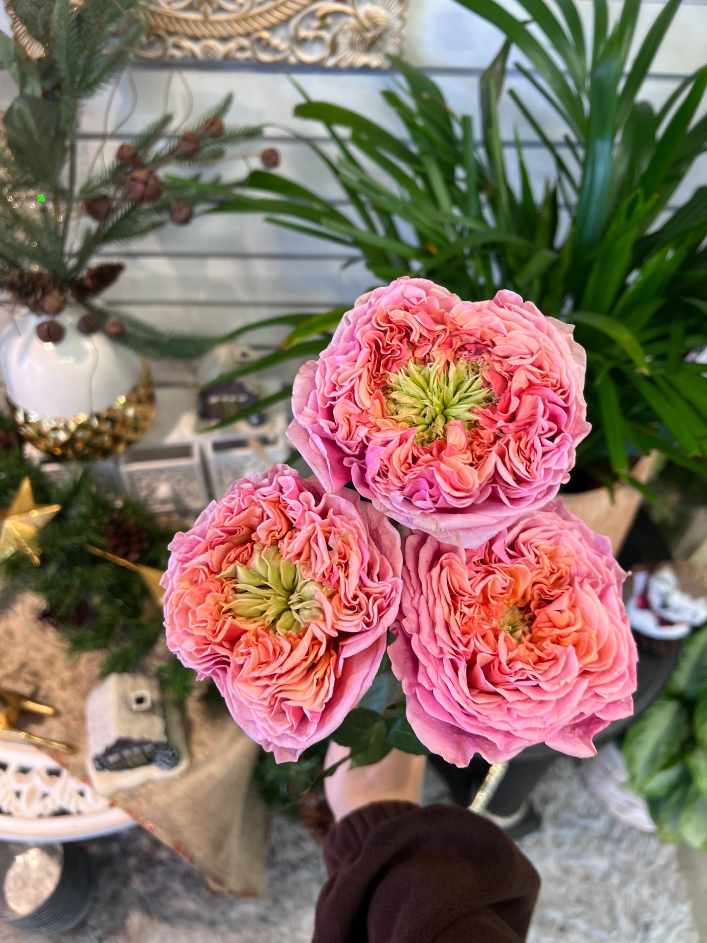 Garden Style Roses