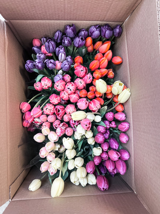 Tulips in a Bouquet