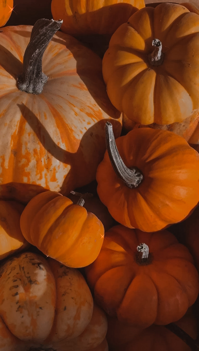 Macyks Pumpkin Arrangment