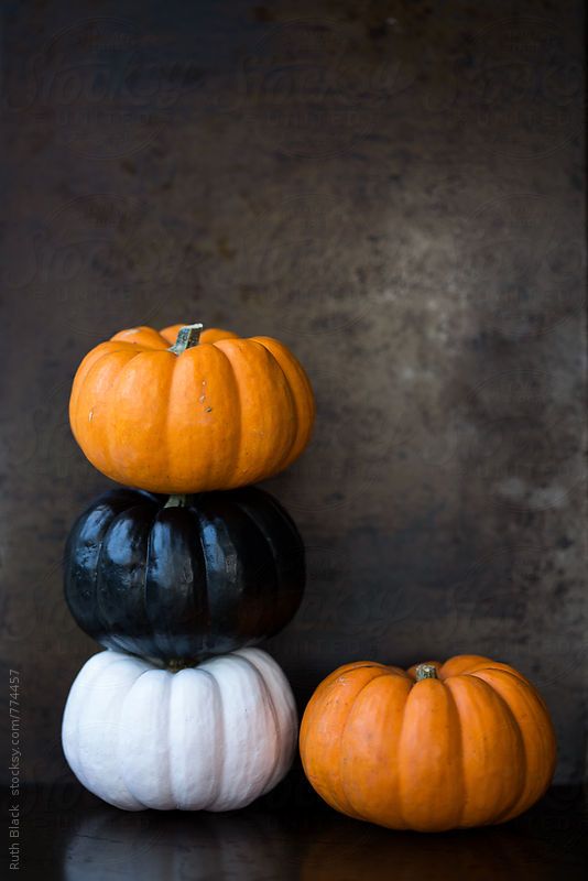 Macyks Pumpkin Arrangment