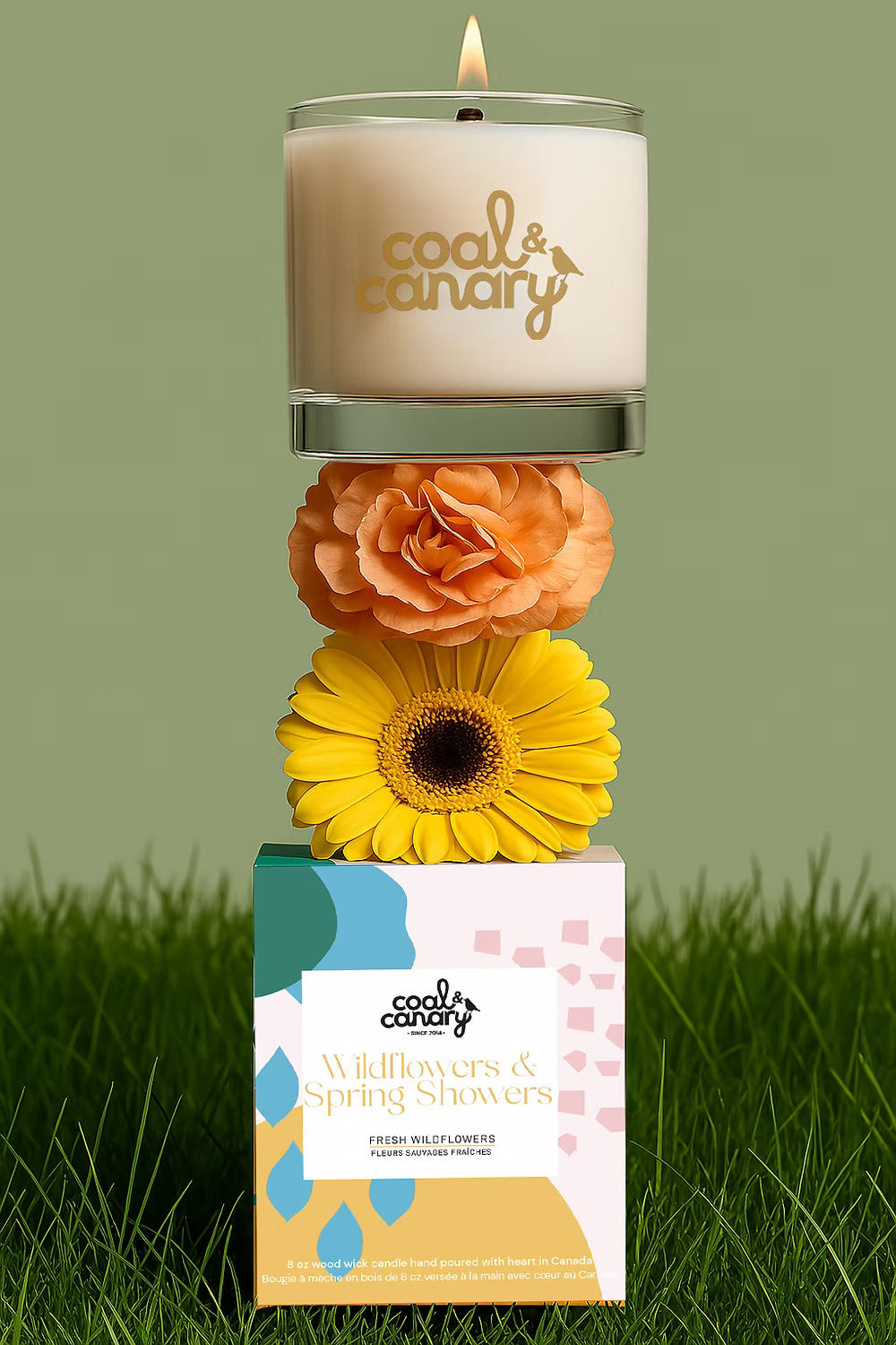 Wildflowers & Spring Showers