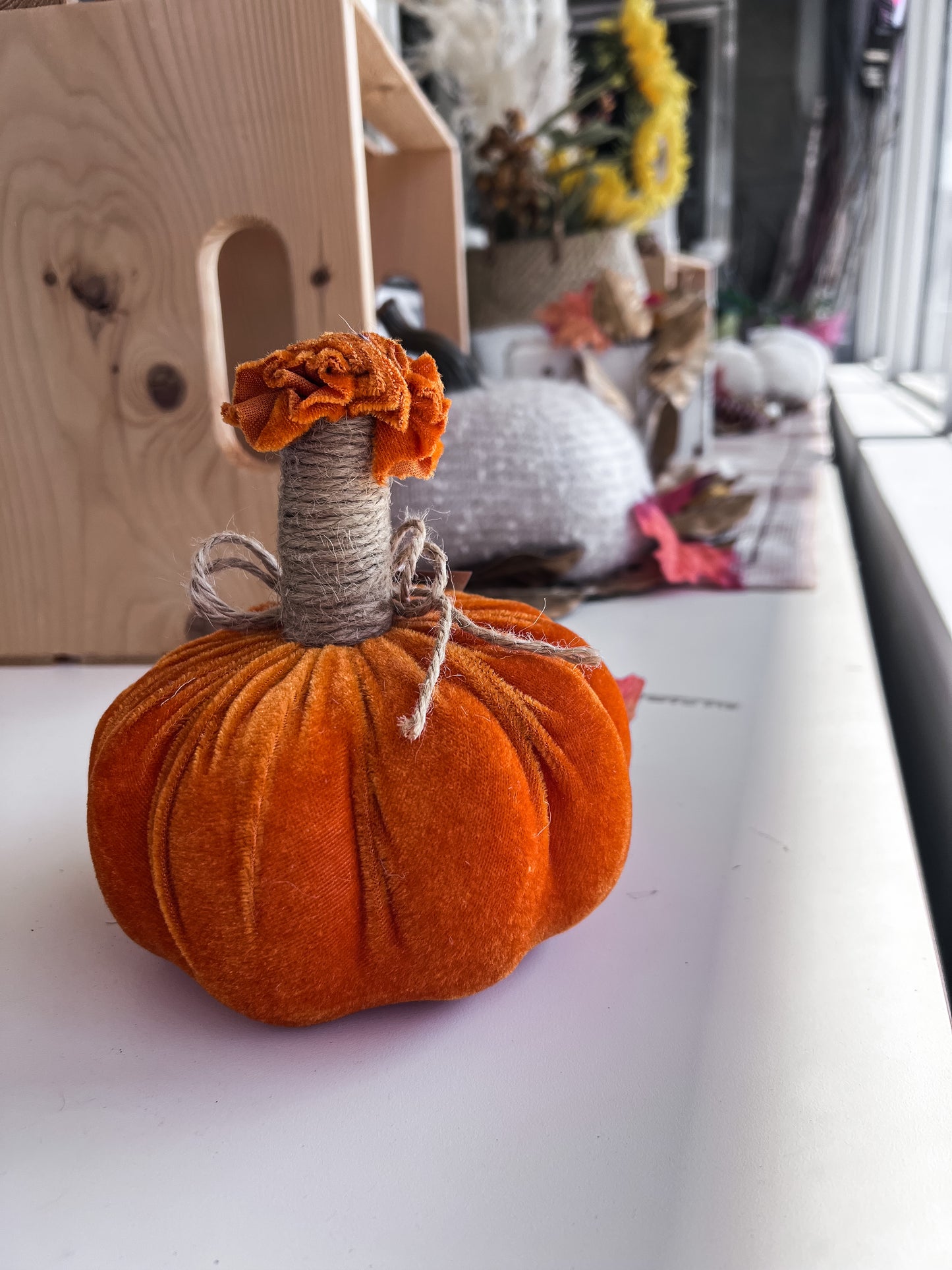 Mini Velvet Pumpkins