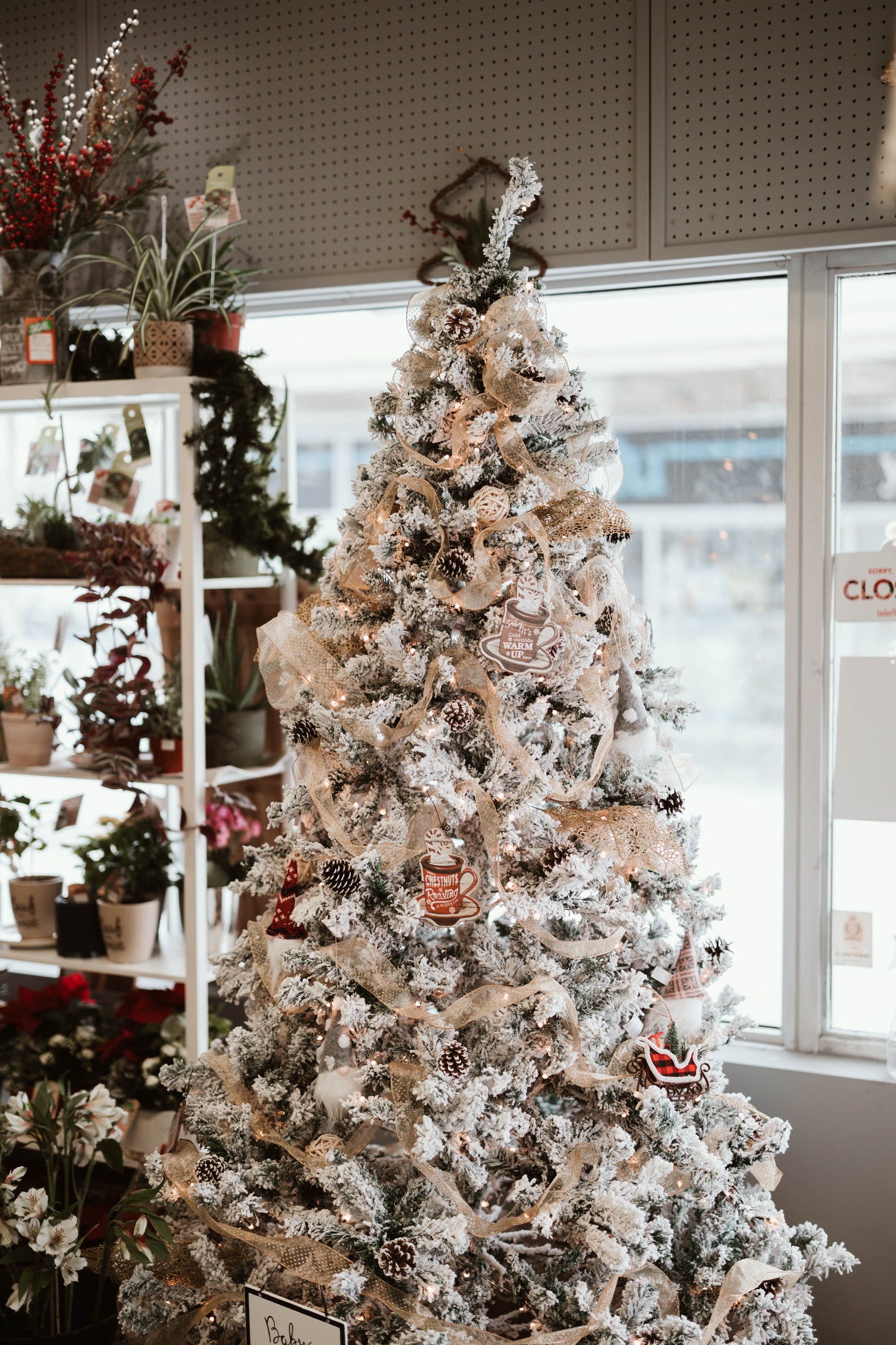 Holiday Tree Ornaments