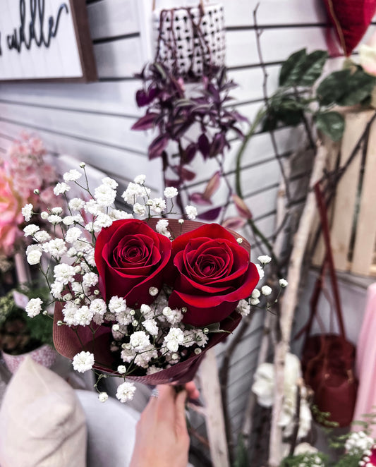 Lovely Red Rose