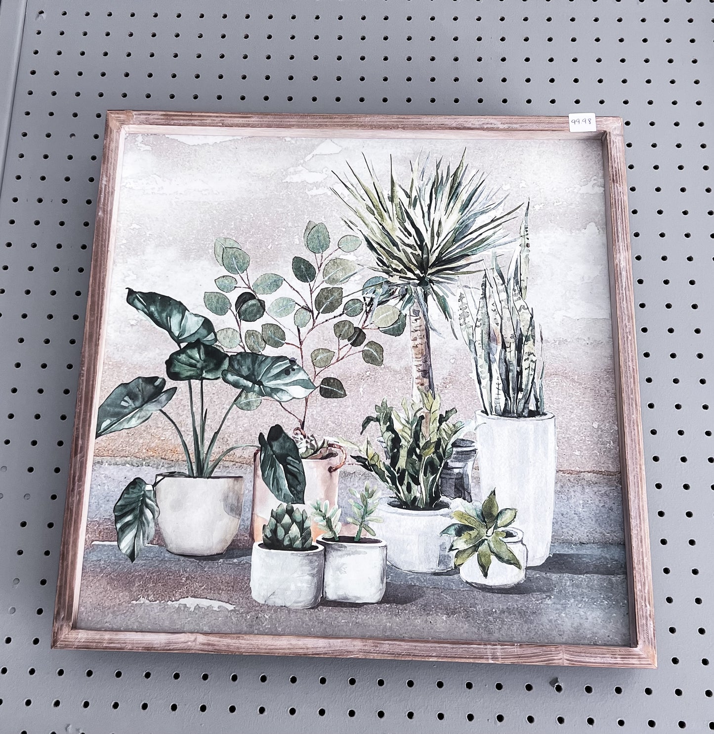 Plant Paintings