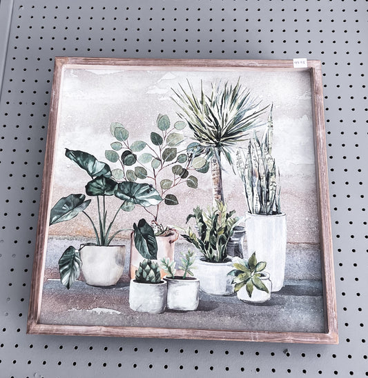 Plant Paintings