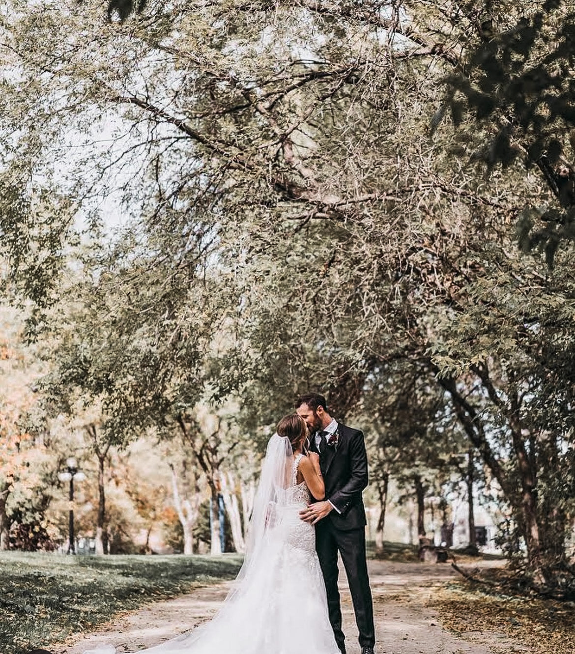 The Wedding Portfolio