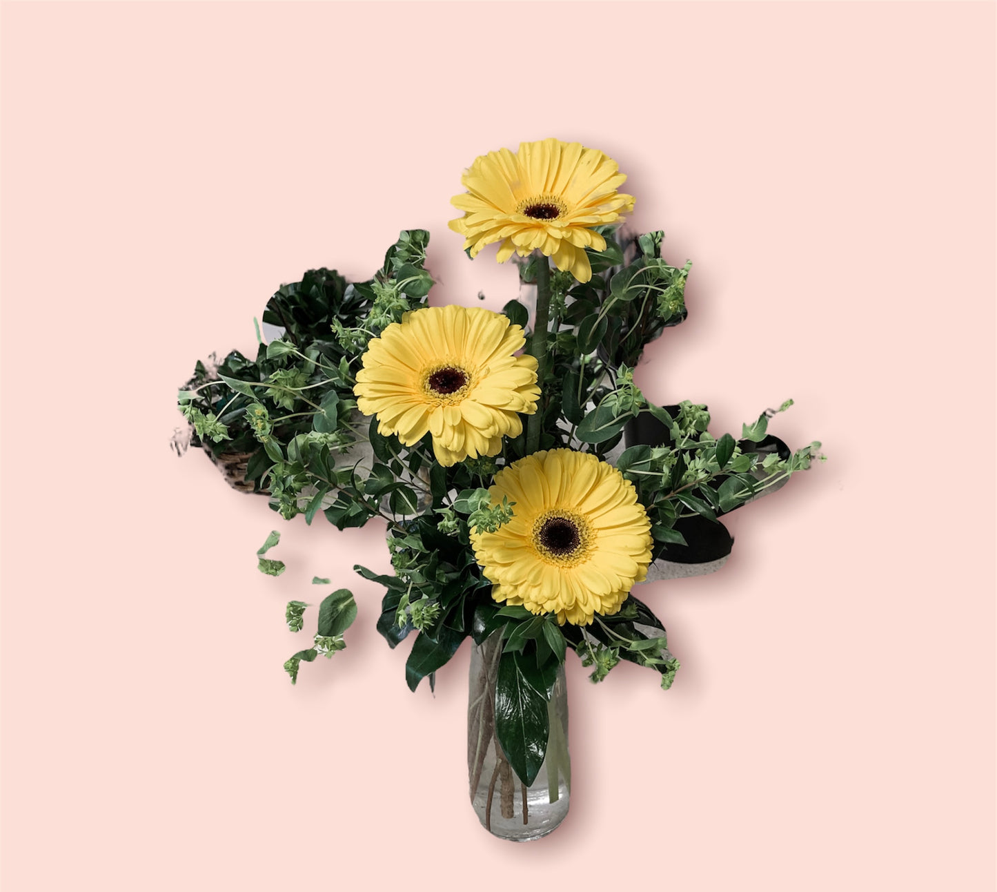 Gerbera's Vase