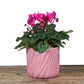 Cozy Blooms Ceramic Pot – Cyclamen