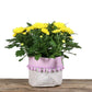 Pom Pom Bloom Bag