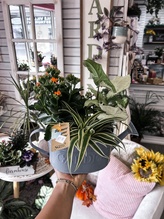 8" Watering Can Dish Garden