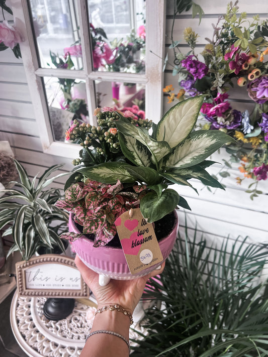Two Tone Pink Planter