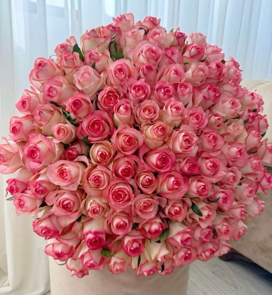 Special Rose Bouquets in Winnipeg – 25, 51, 101, 201, 301 or 501 Roses