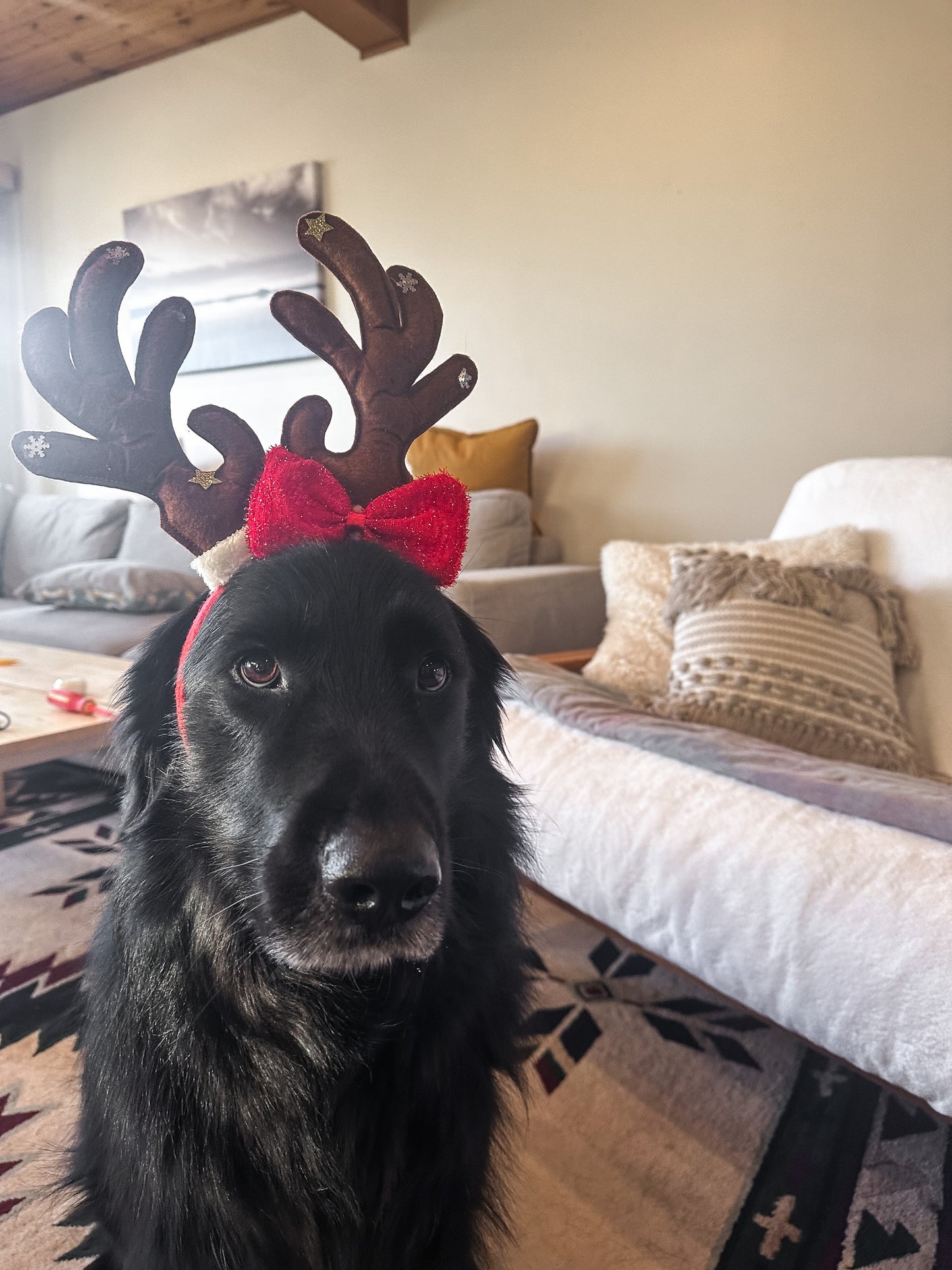 Dog / Cat Christmas Headband