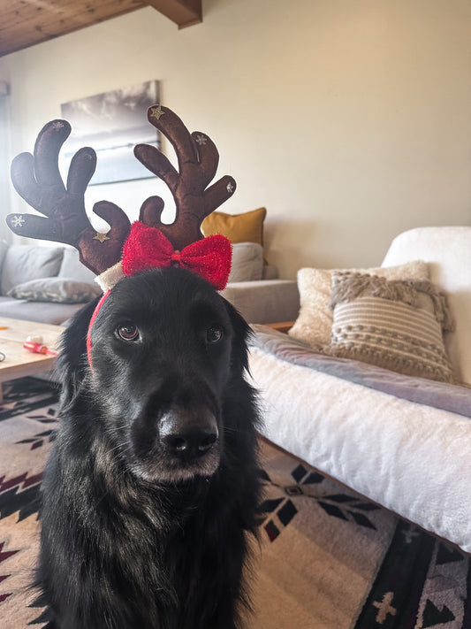 Dog / Cat Christmas Headband