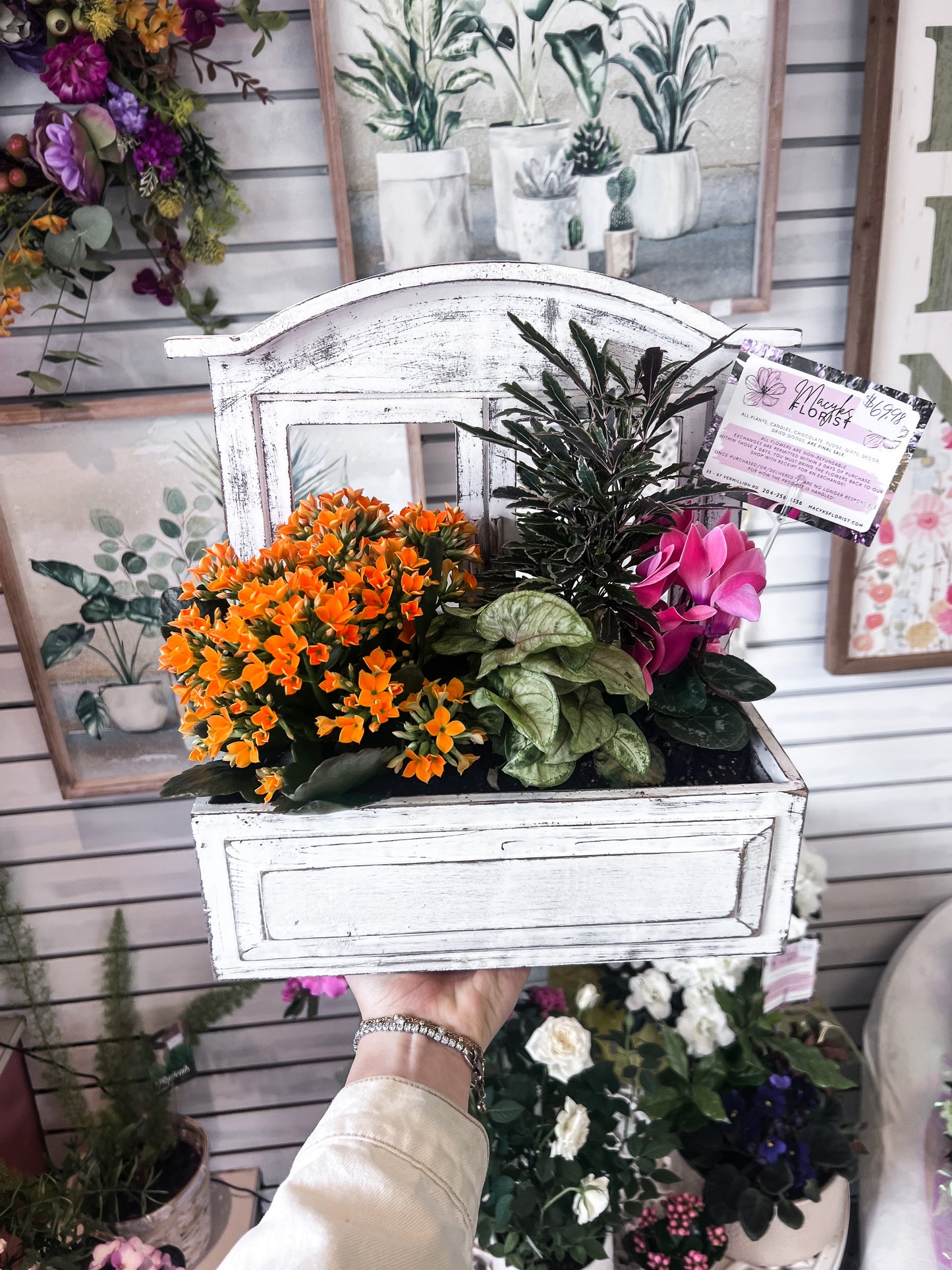 Window Box Plant