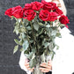 Valentines Day Special Long Stem Roses