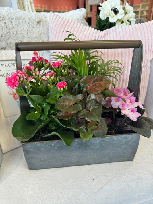 Tool Box Dish Garden