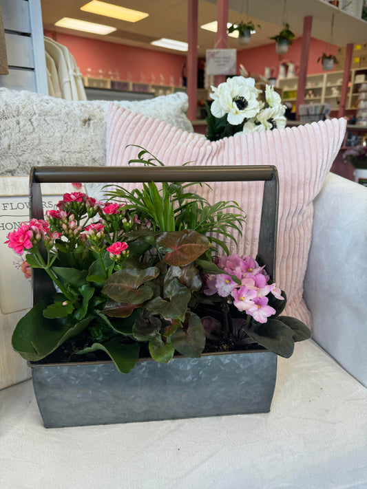 Tool Box Dish Garden