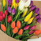 Assorted Tulips