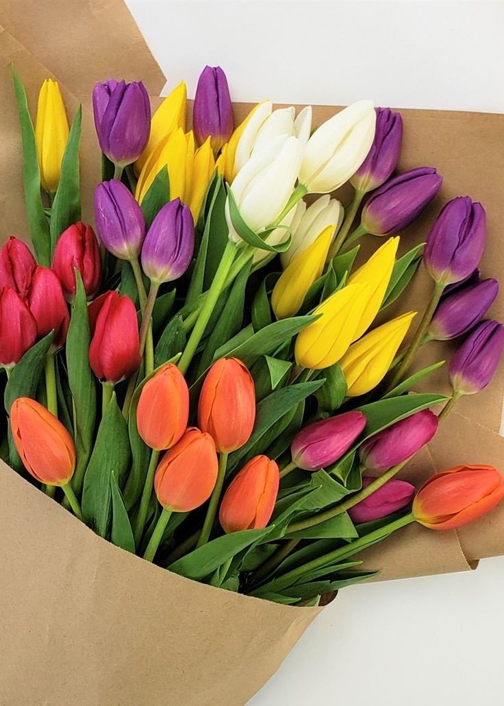 Assorted Tulips