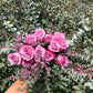 Long Stem Coloured Rose Bouquet