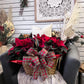 Basket of Joy Poinsettia