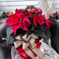 The Red Poinsettia Plant
