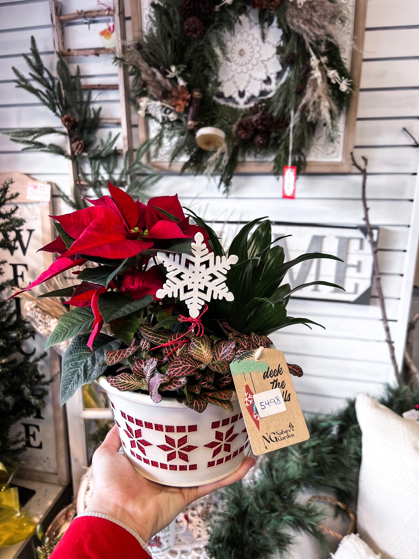 Snowflake Dish Garden