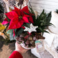 Snowflake Dish Garden