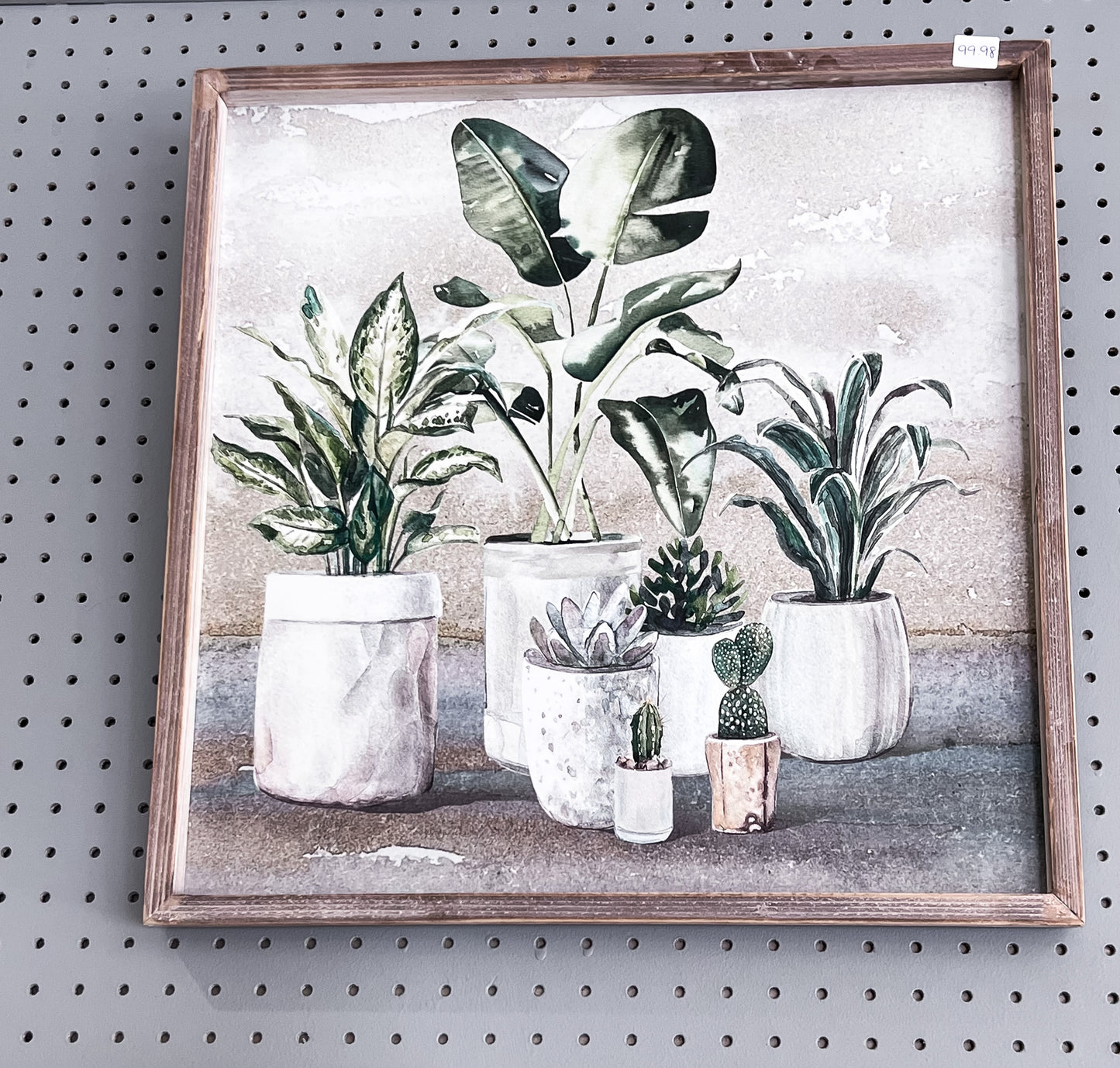 Plant Paintings