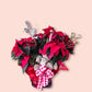 The Red Poinsettia Plant